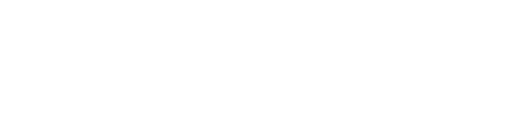 Aerolíneas Ejecutivas